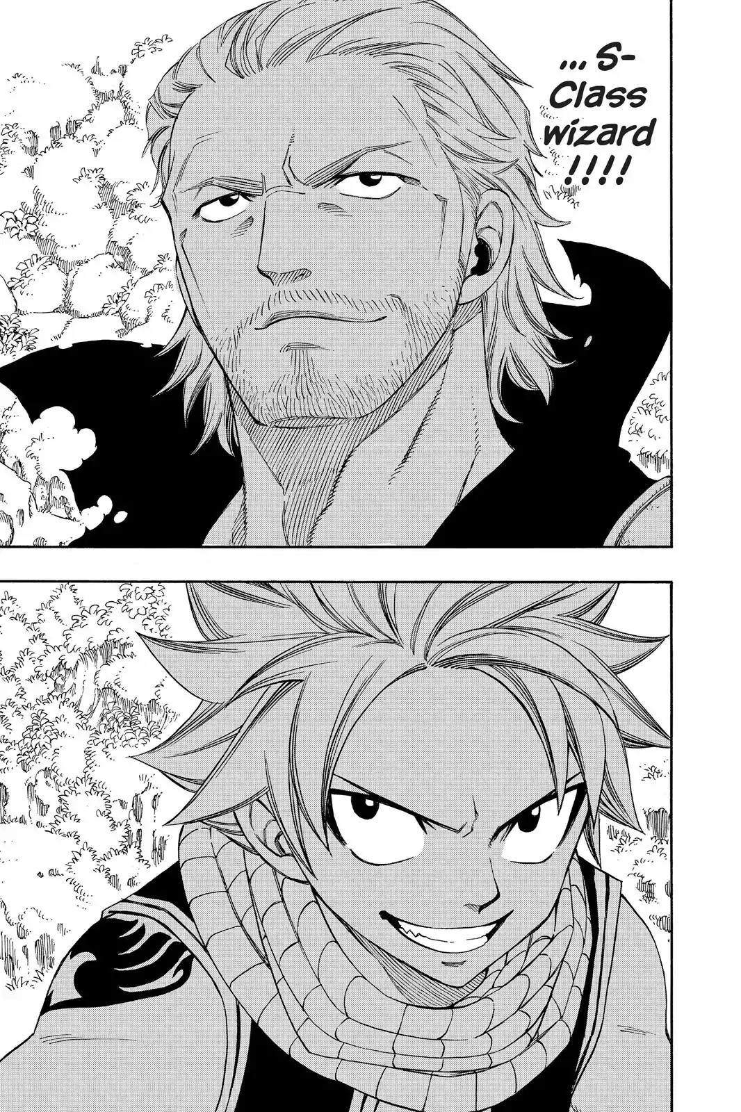 Fairy Tail Chapter 205 - Page 11