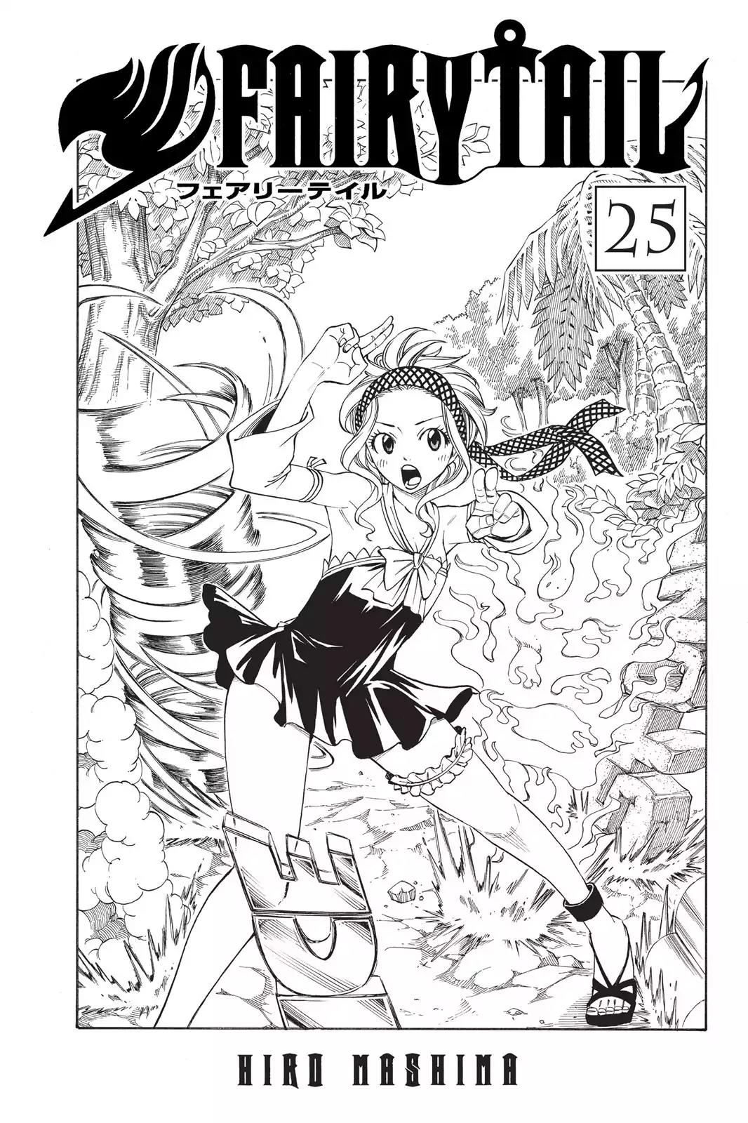Fairy Tail Chapter 205 - Page 3