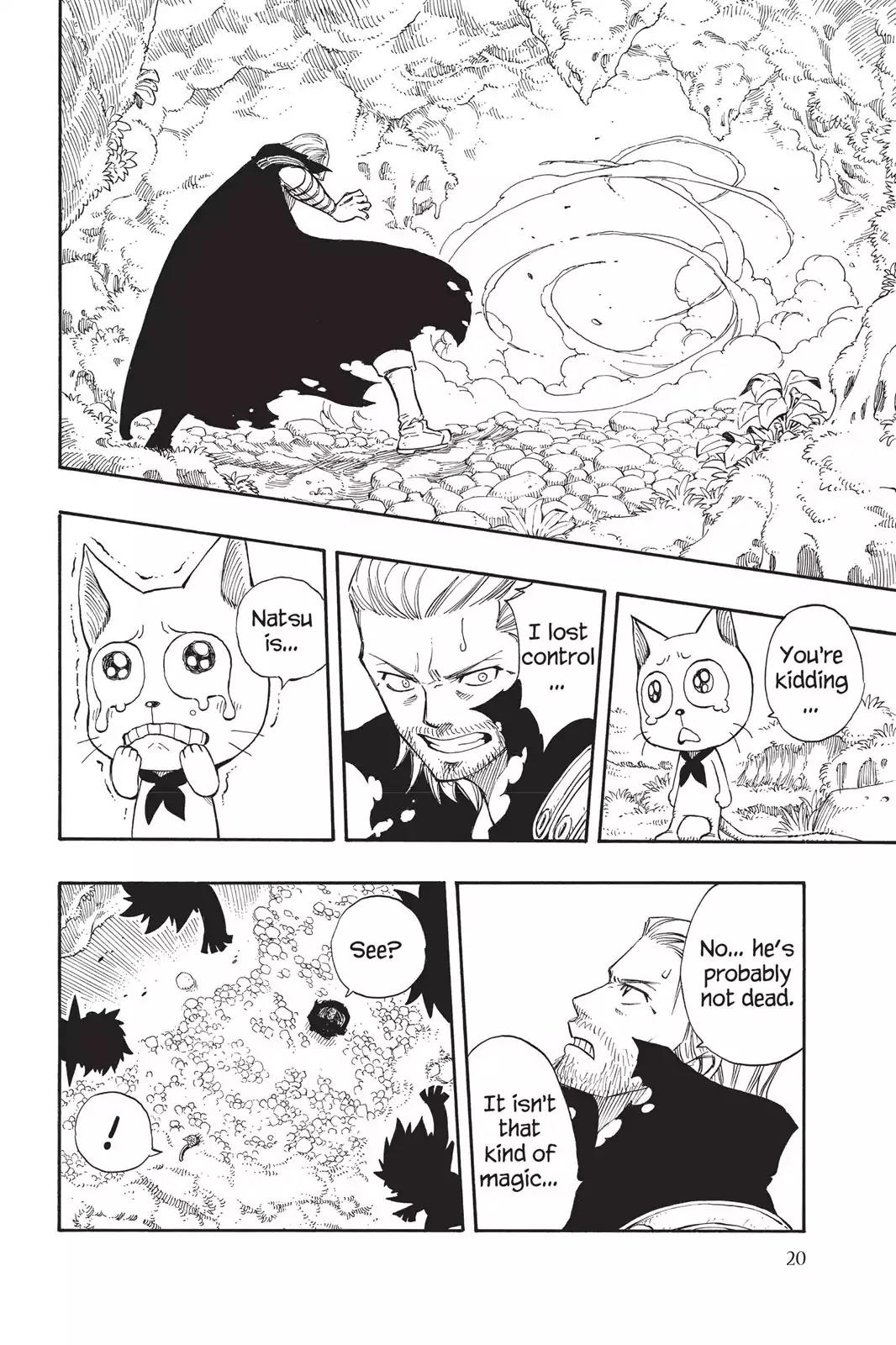 Fairy Tail Chapter 205 - Page 21