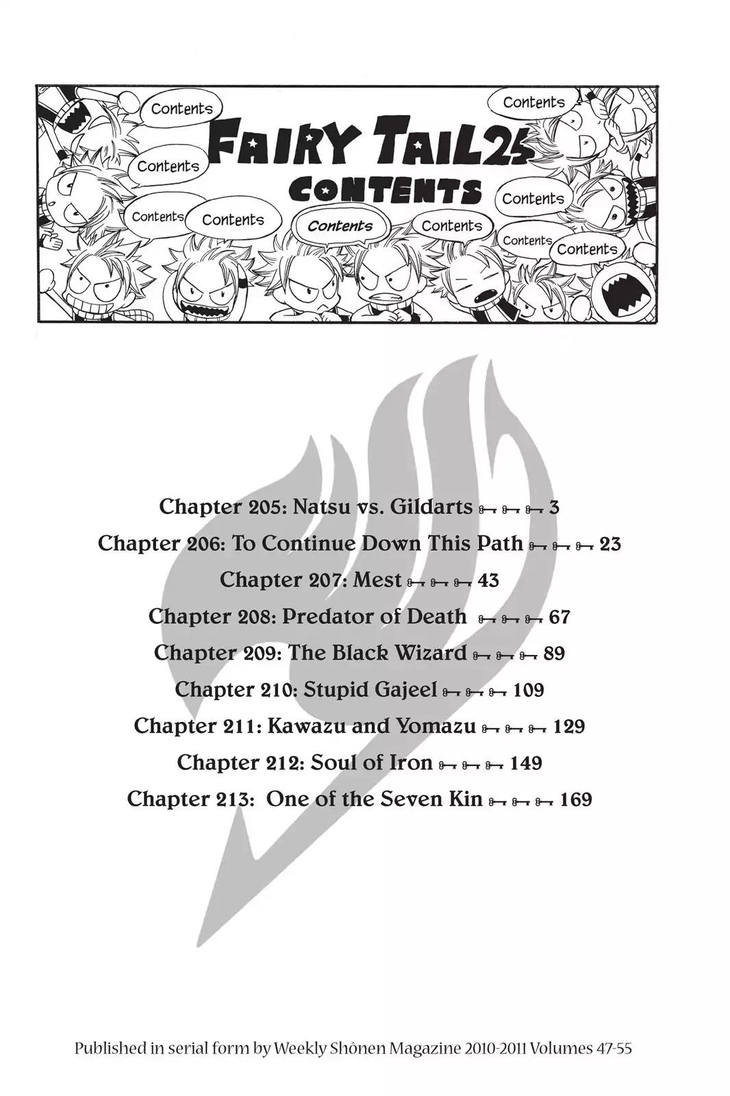 Fairy Tail Chapter 205 - Page 4