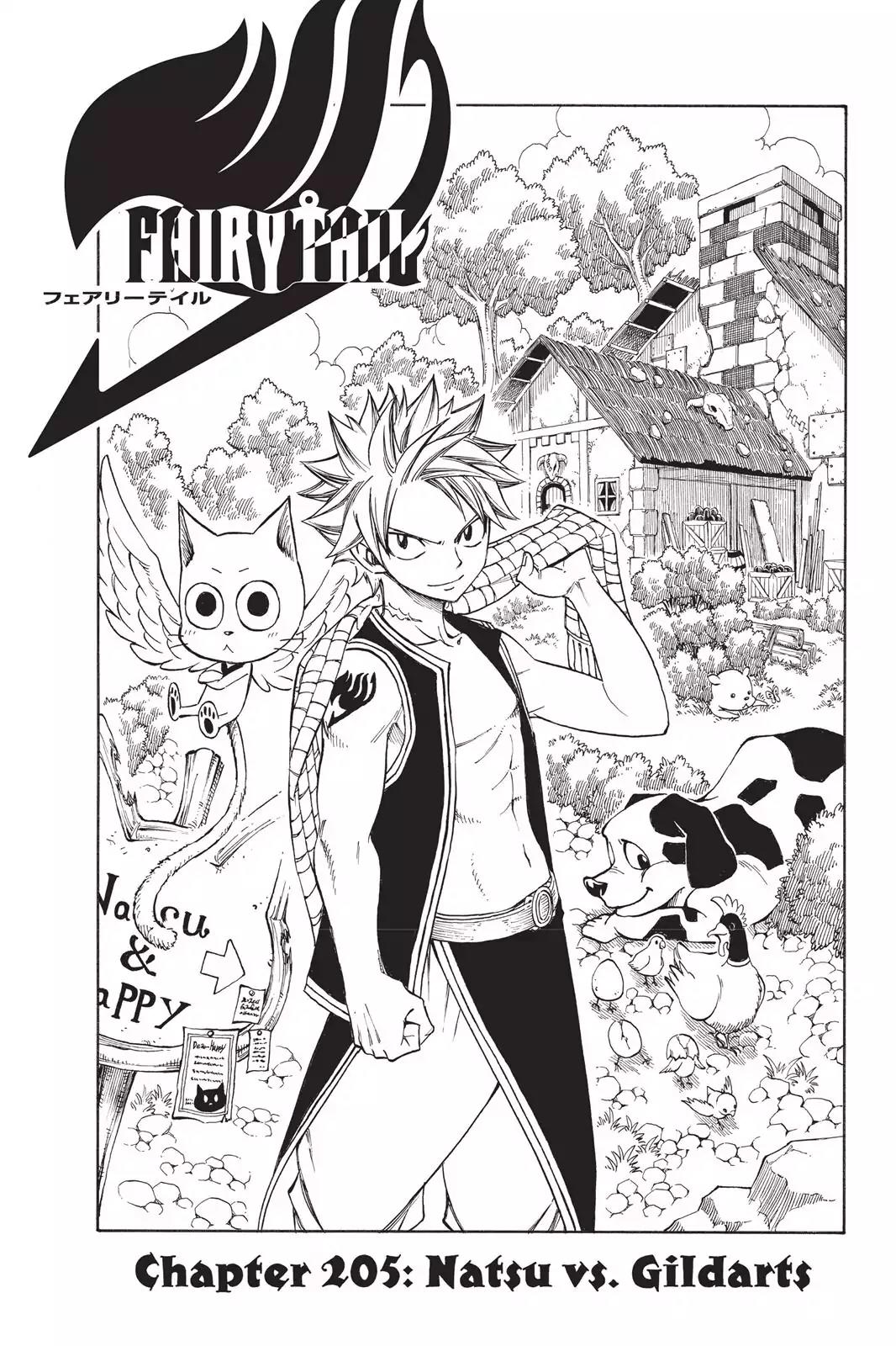 Fairy Tail Chapter 205 - Page 5