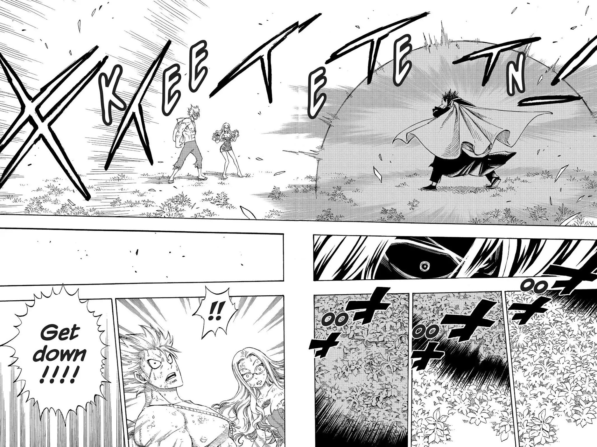 Fairy Tail Chapter 208 - Page 17