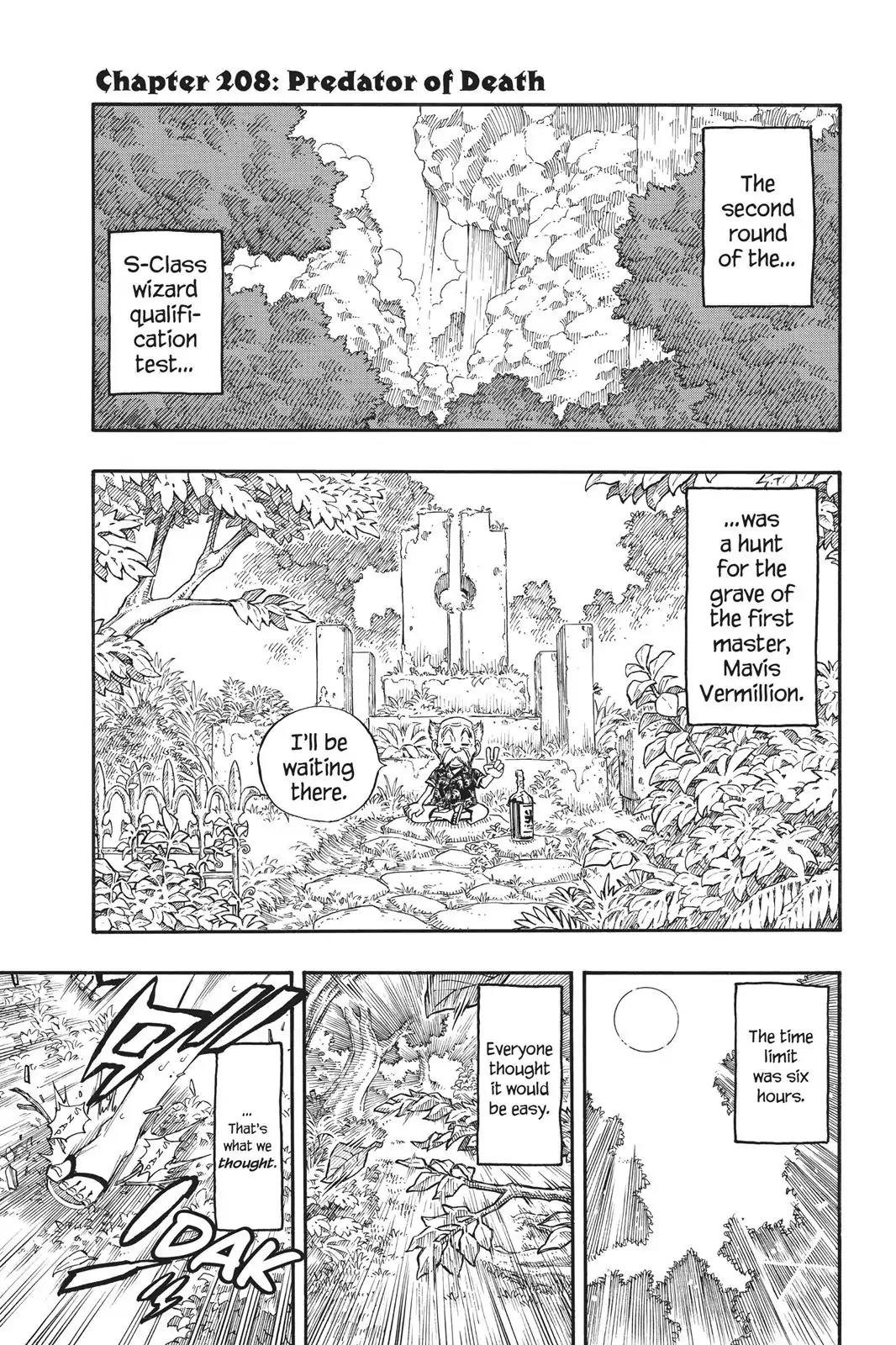 Fairy Tail Chapter 208 - Page 3