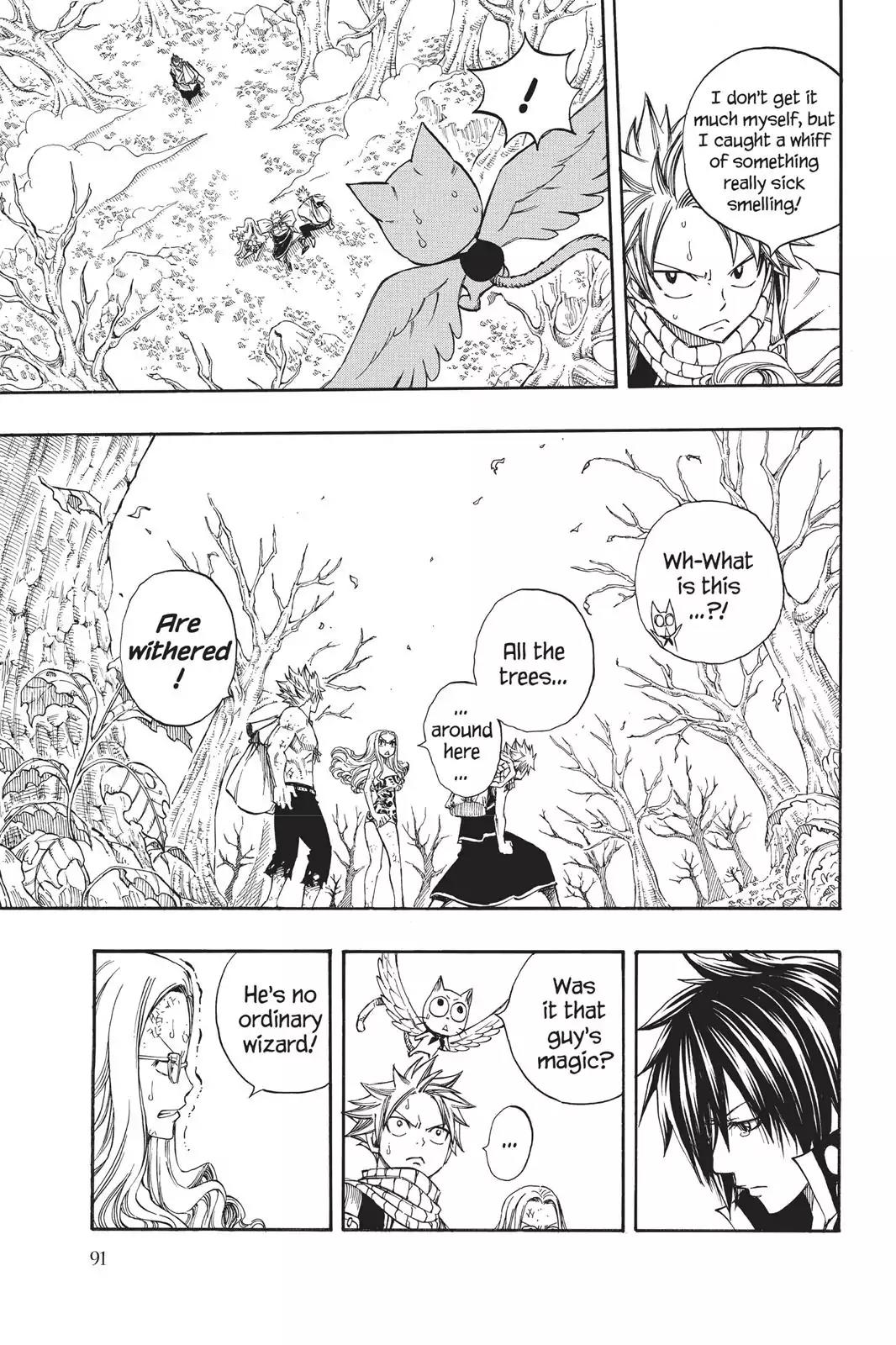 Fairy Tail Chapter 209 - Page 3