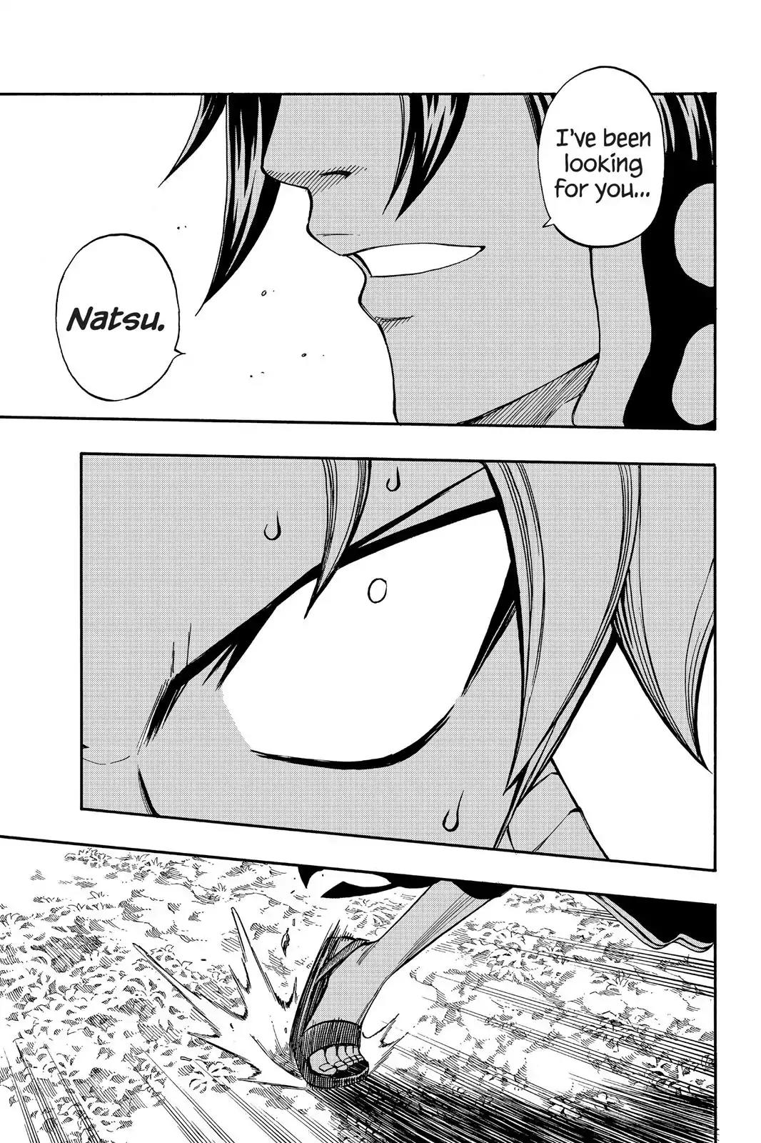 Fairy Tail Chapter 209 - Page 5
