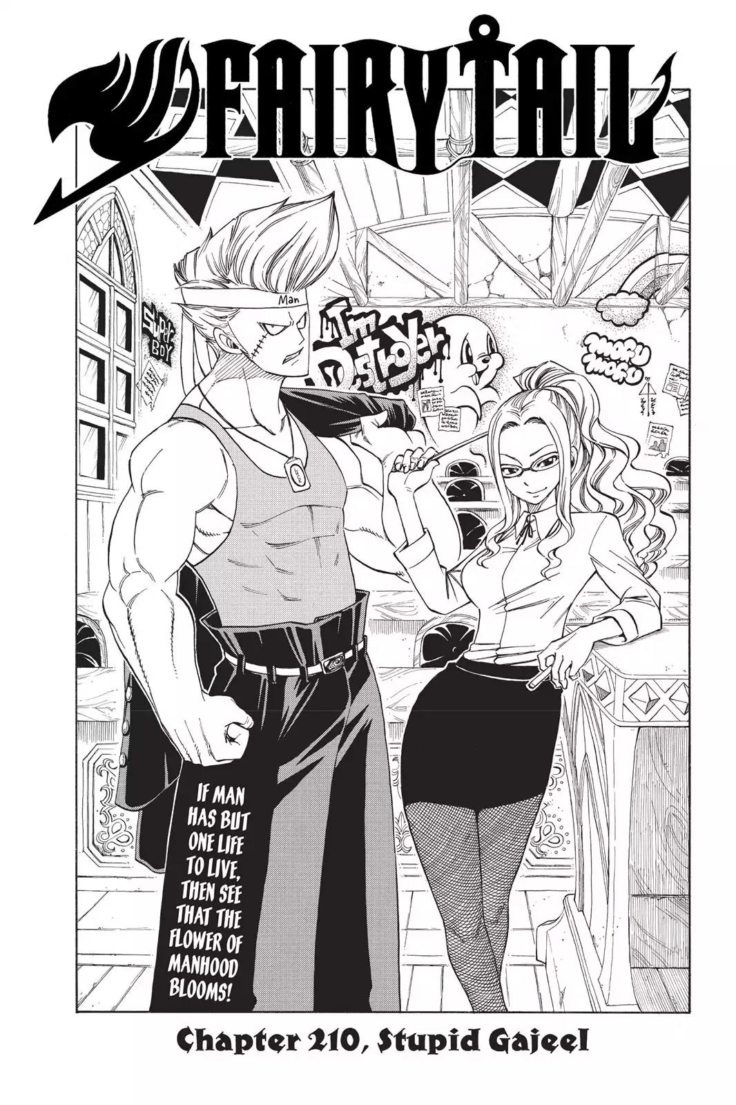 Fairy Tail Chapter 210 - Page 1