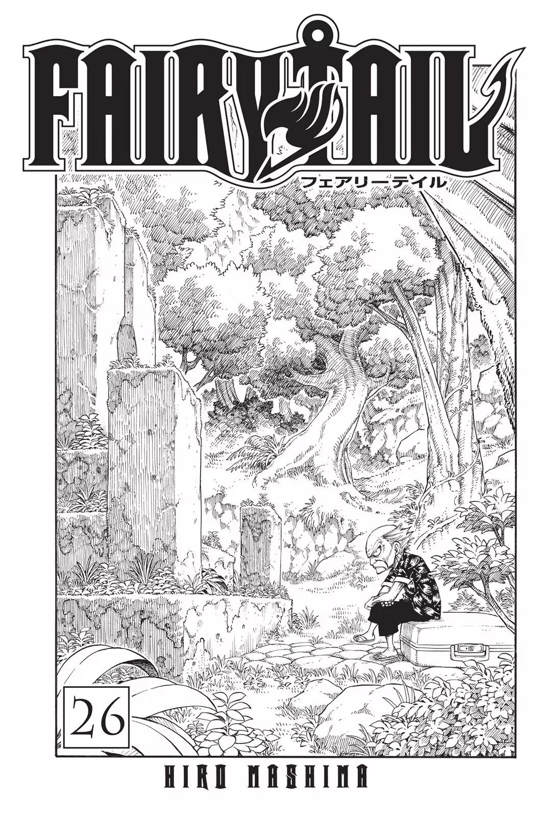 Fairy Tail Chapter 214 - Page 3