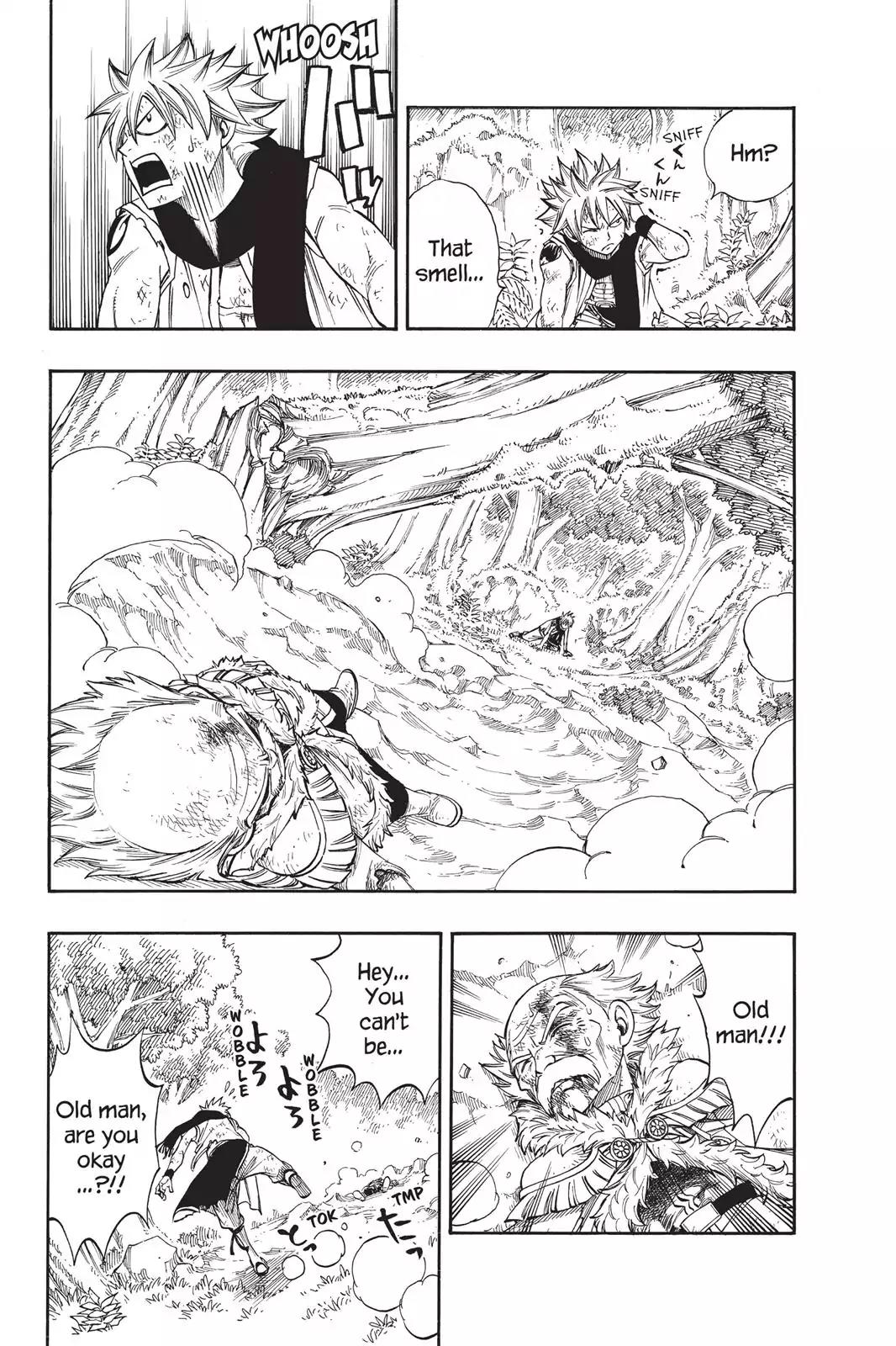 Fairy Tail Chapter 218 - Page 12