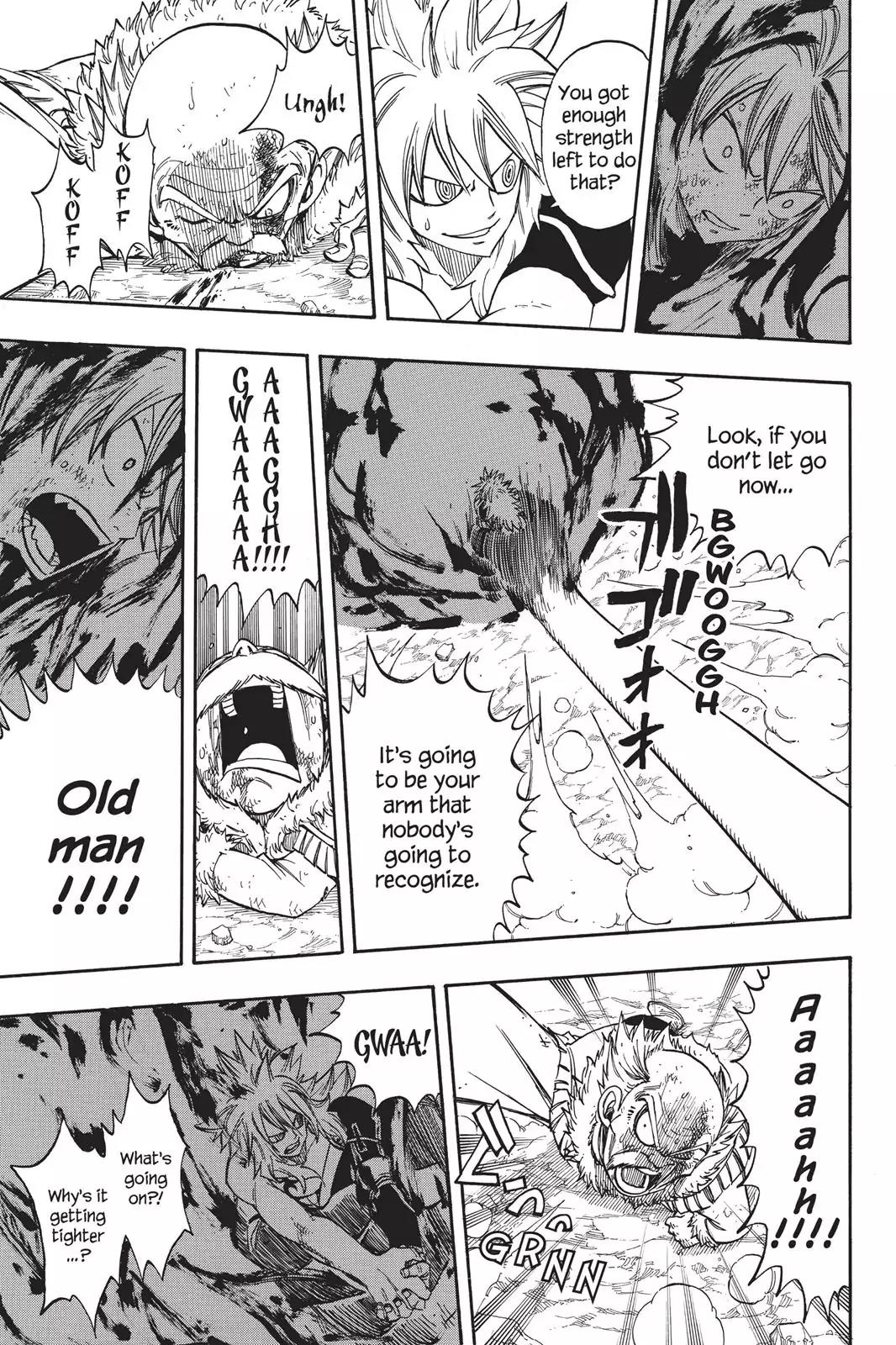 Fairy Tail Chapter 219 - Page 13