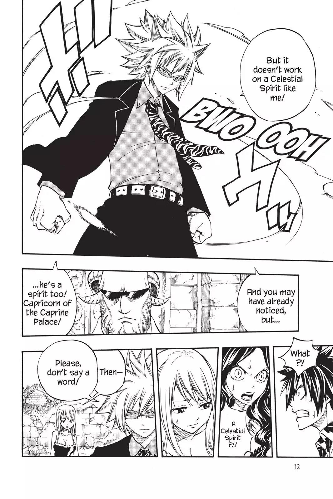 Fairy Tail Chapter 223 - Page 14