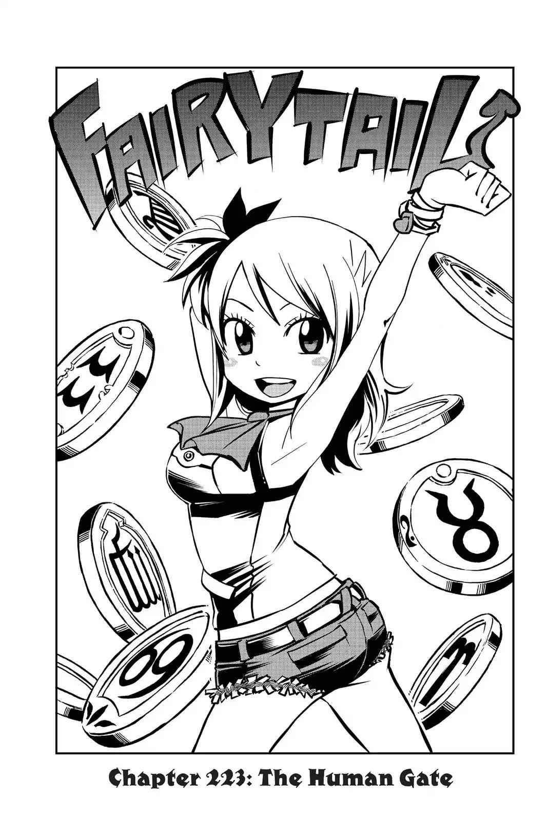 Fairy Tail Chapter 223 - Page 5