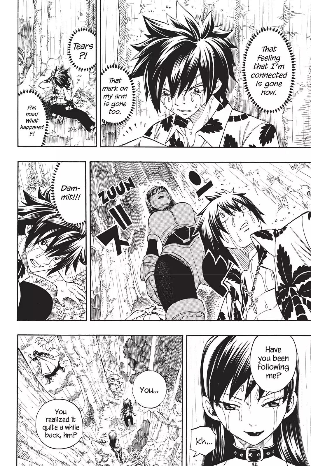 Fairy Tail Chapter 230 - Page 18