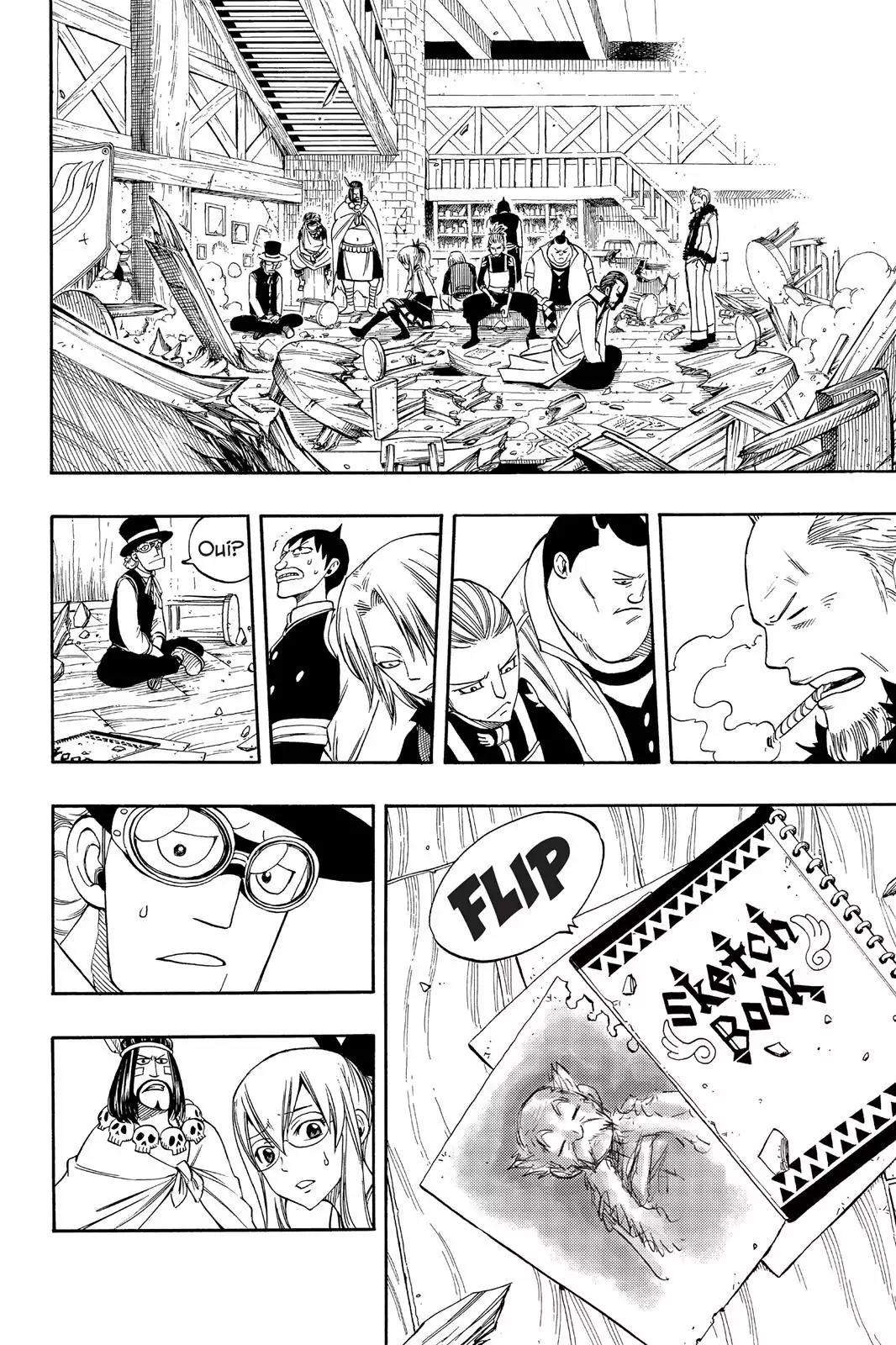 Fairy Tail Chapter 254 - Page 14