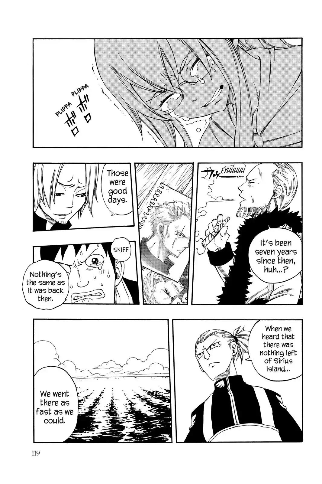 Fairy Tail Chapter 254 - Page 17