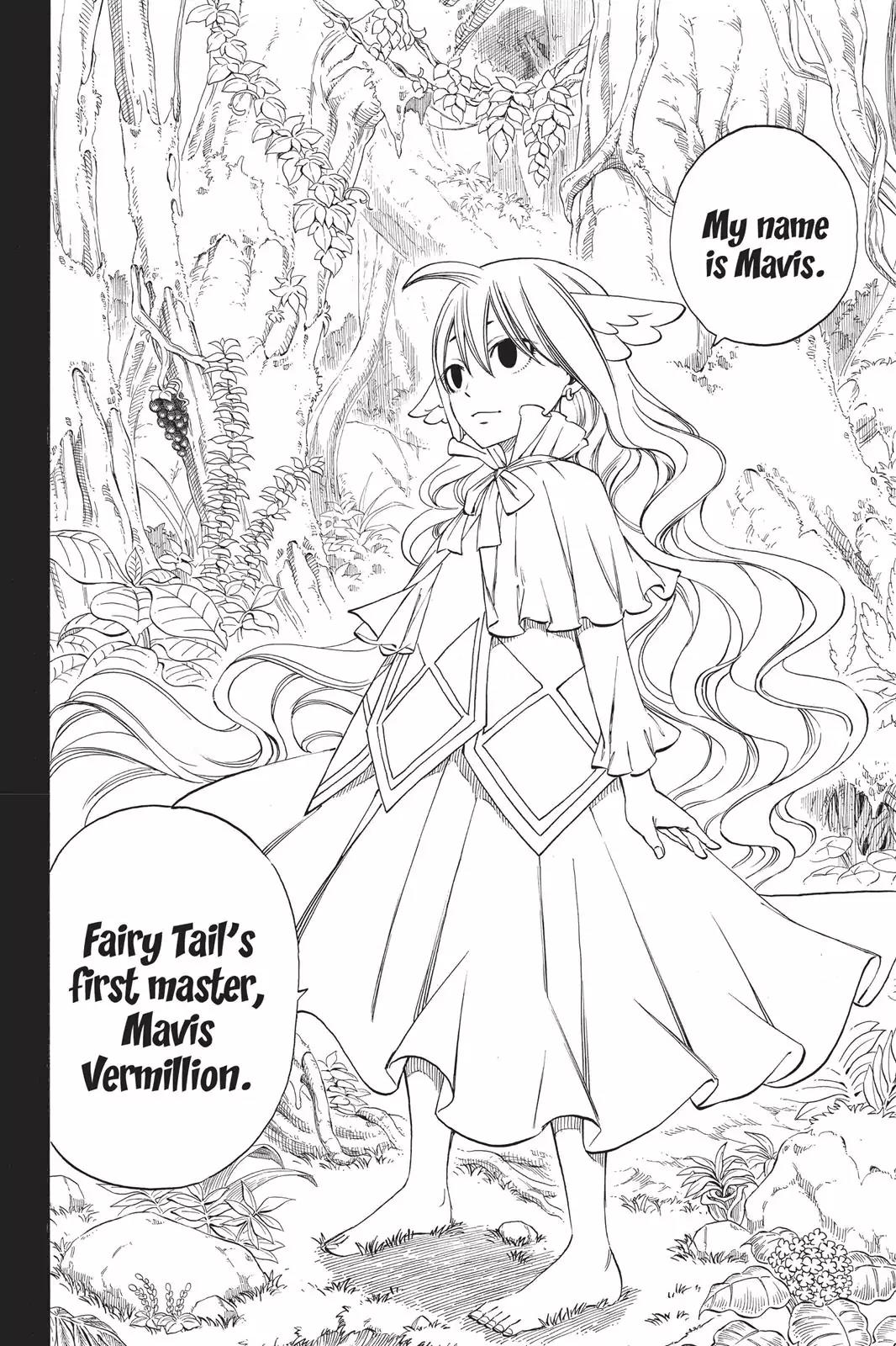 Fairy Tail Chapter 255 - Page 15