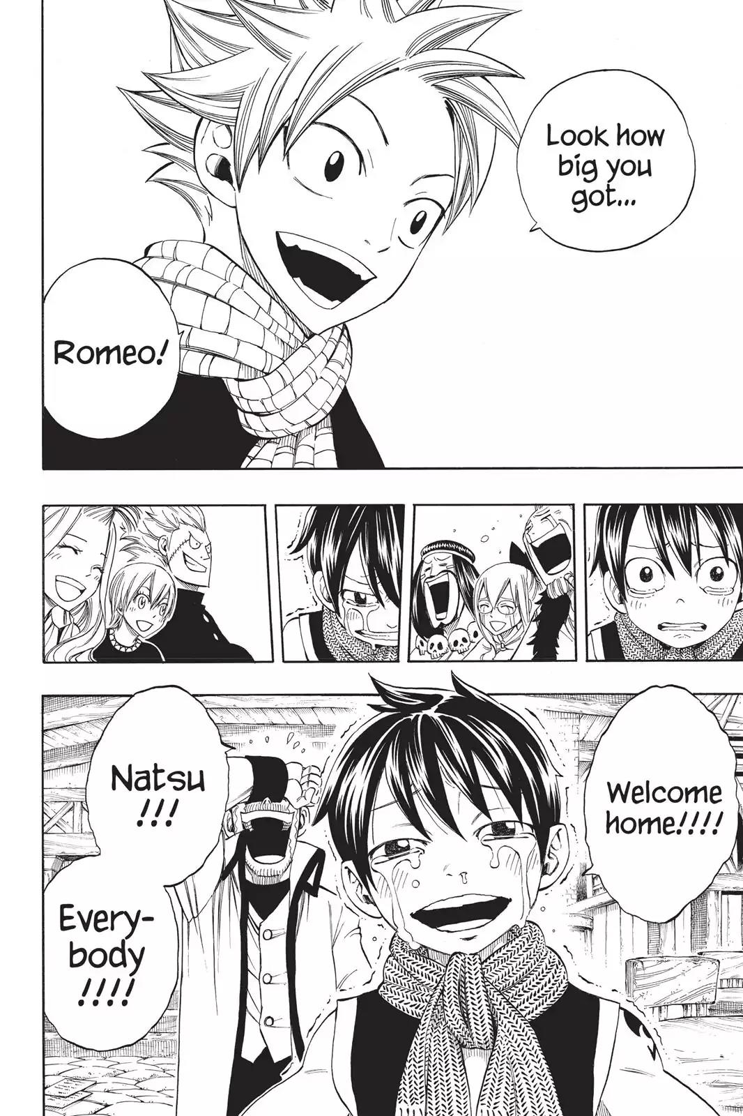 Fairy Tail Chapter 255 - Page 19