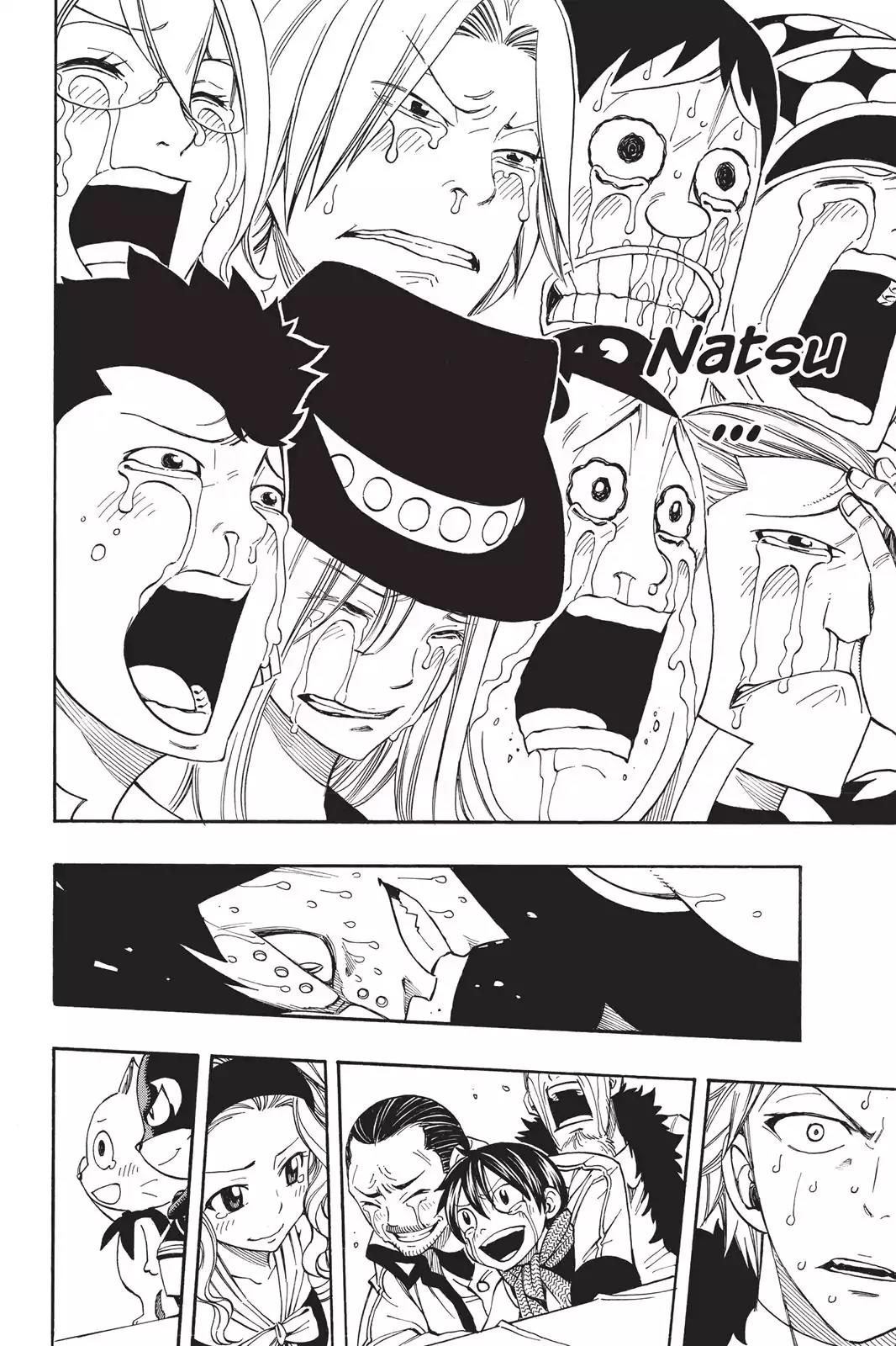 Fairy Tail Chapter 276 - Page 17