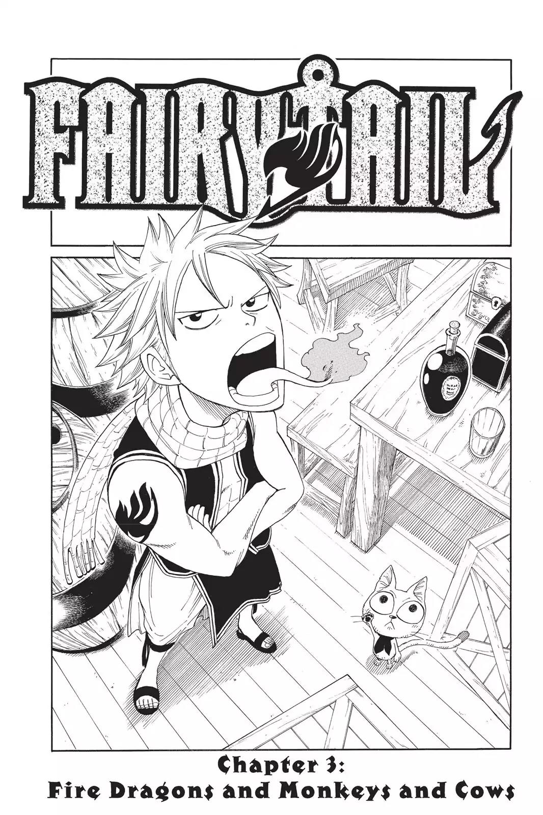 Fairy Tail Chapter 3 - Page 3