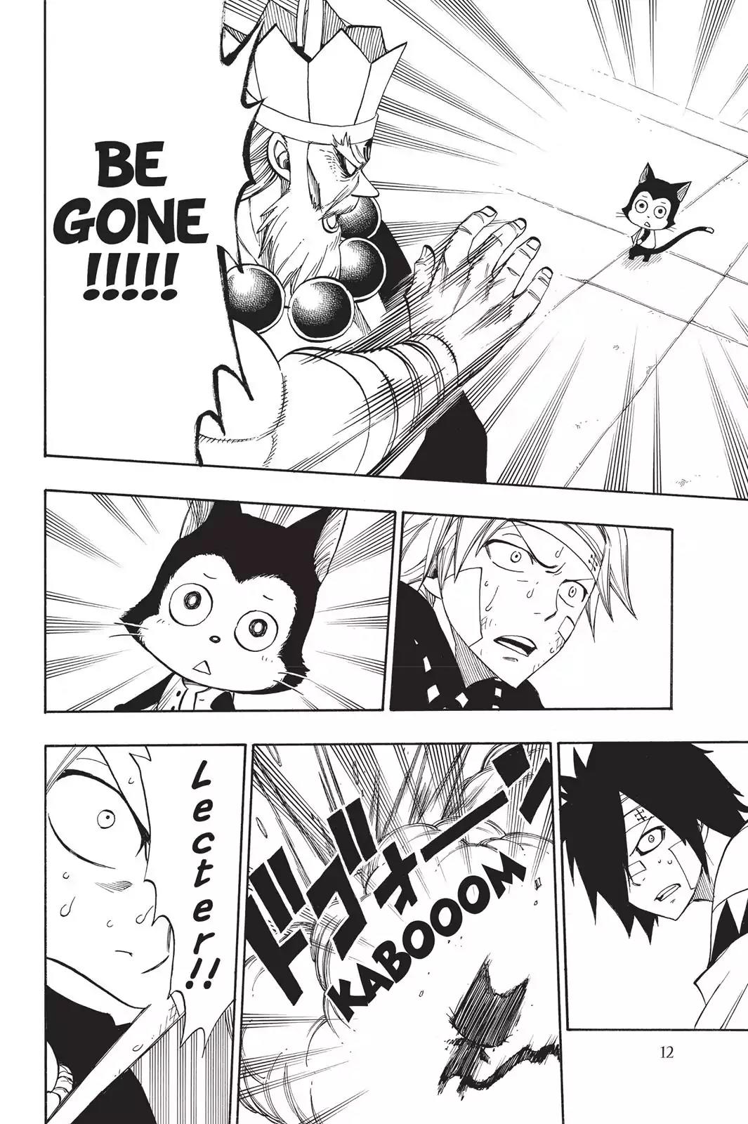 Fairy Tail Chapter 300 - Page 13
