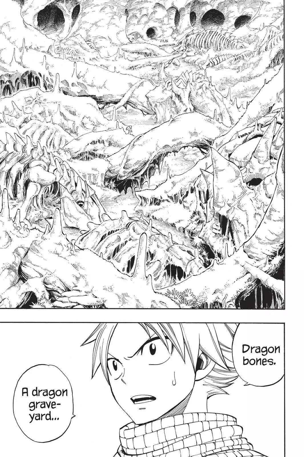 Fairy Tail Chapter 300 - Page 21