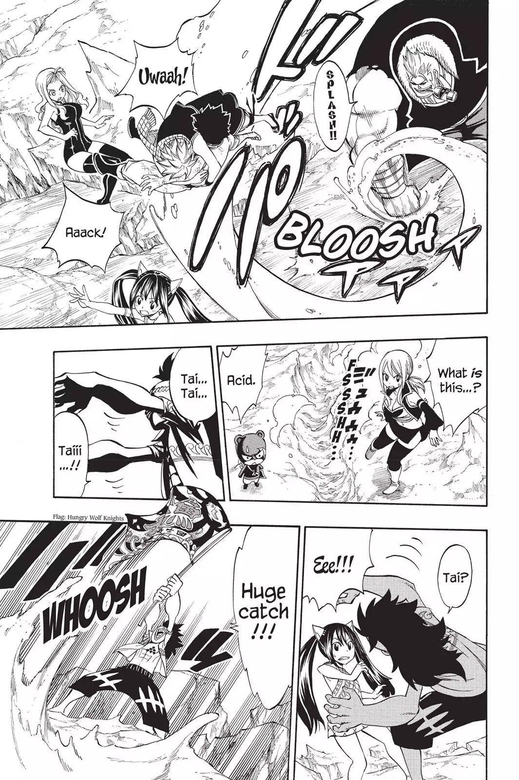 Fairy Tail Chapter 307 - Page 15