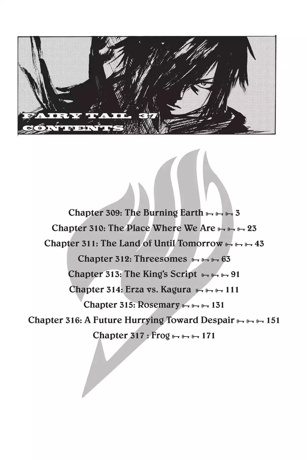 Fairy Tail Chapter 309 - Page 4