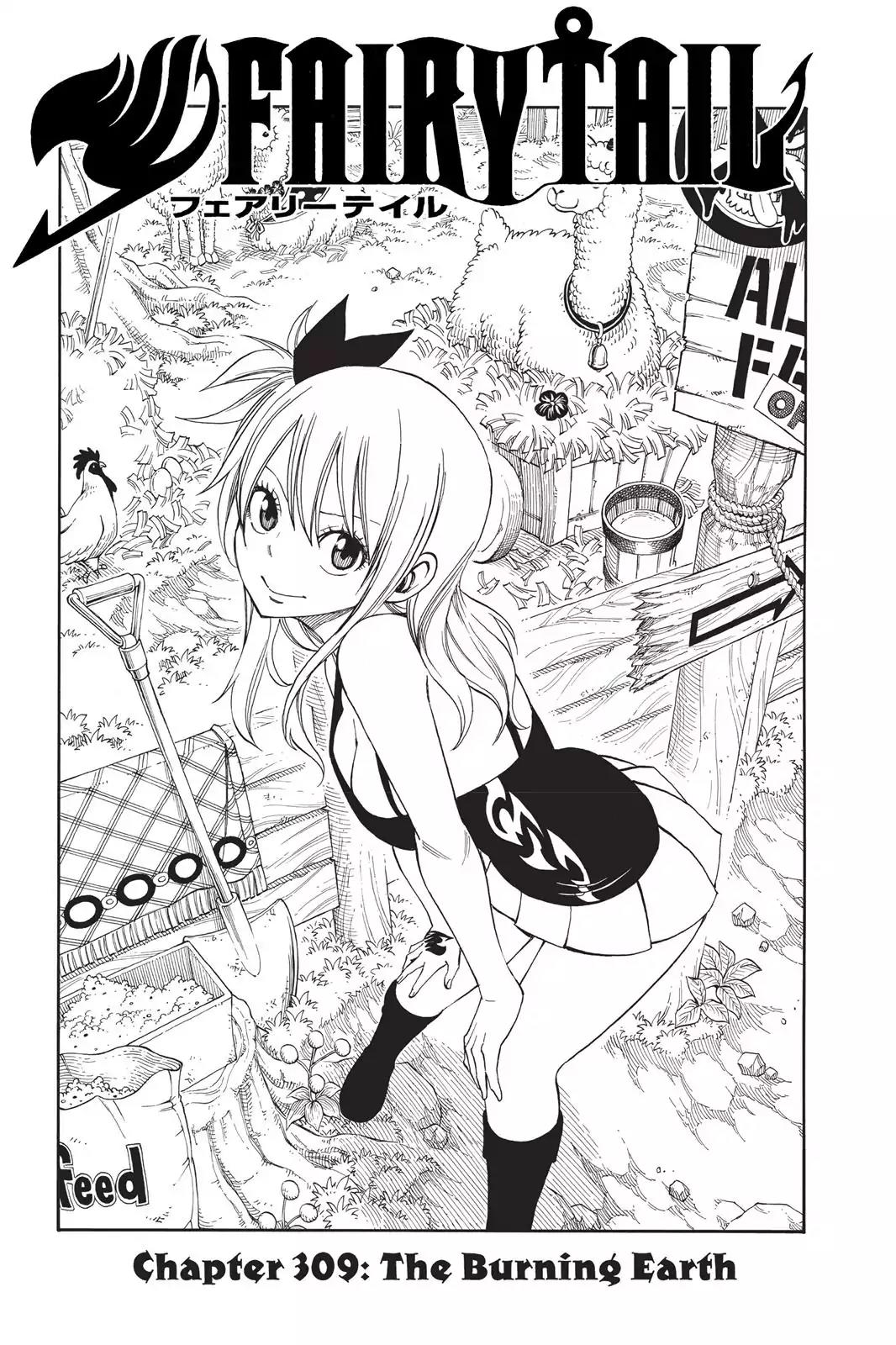 Fairy Tail Chapter 309 - Page 5