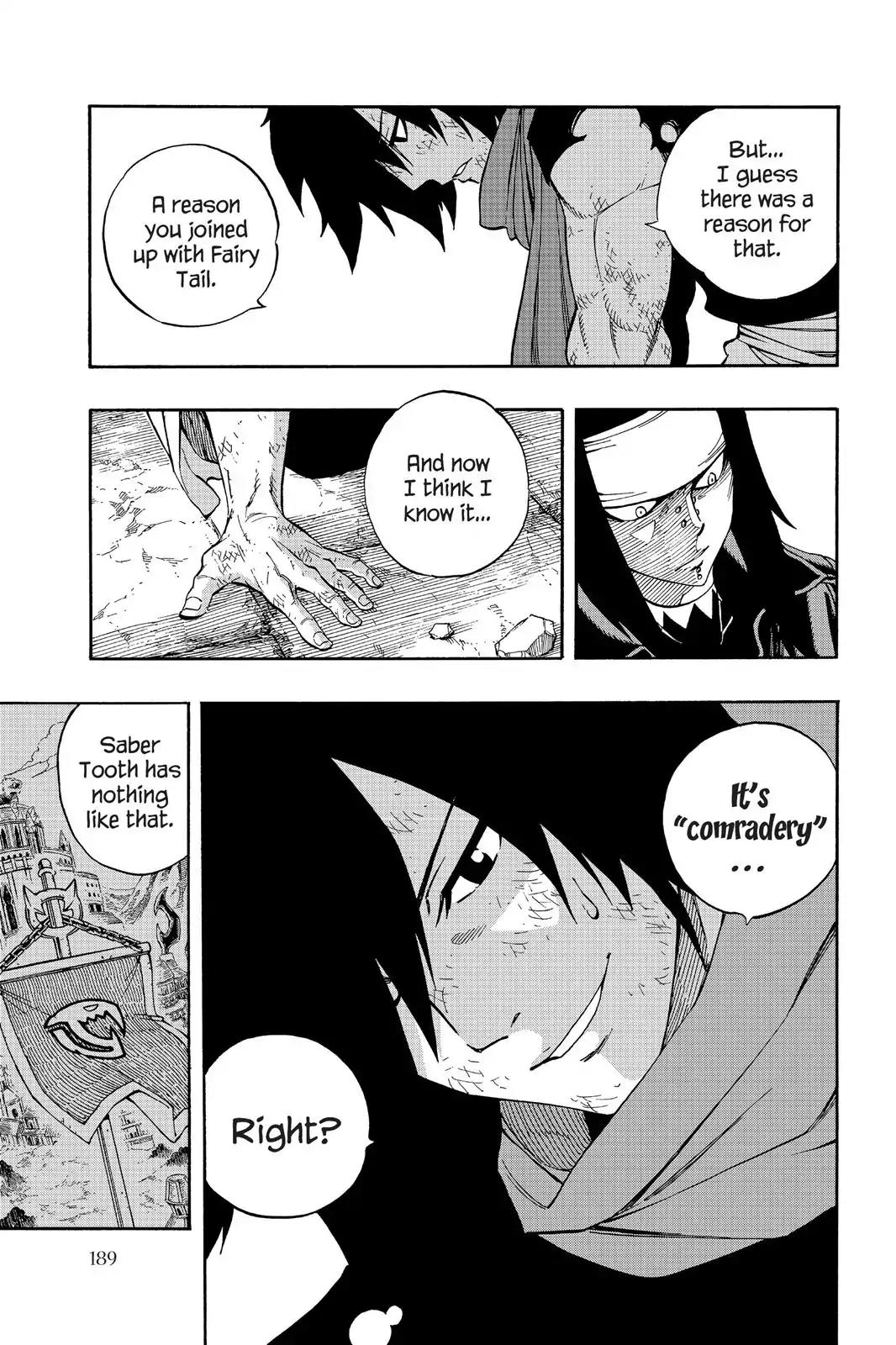 Fairy Tail Chapter 317 - Page 17