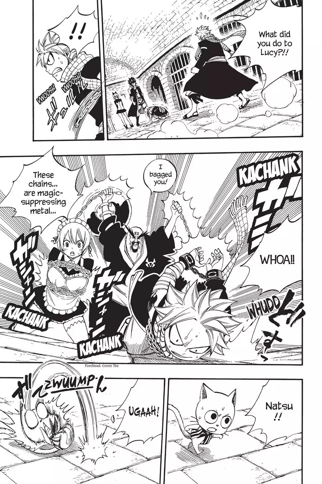 Fairy Tail Chapter 428 - Page 13