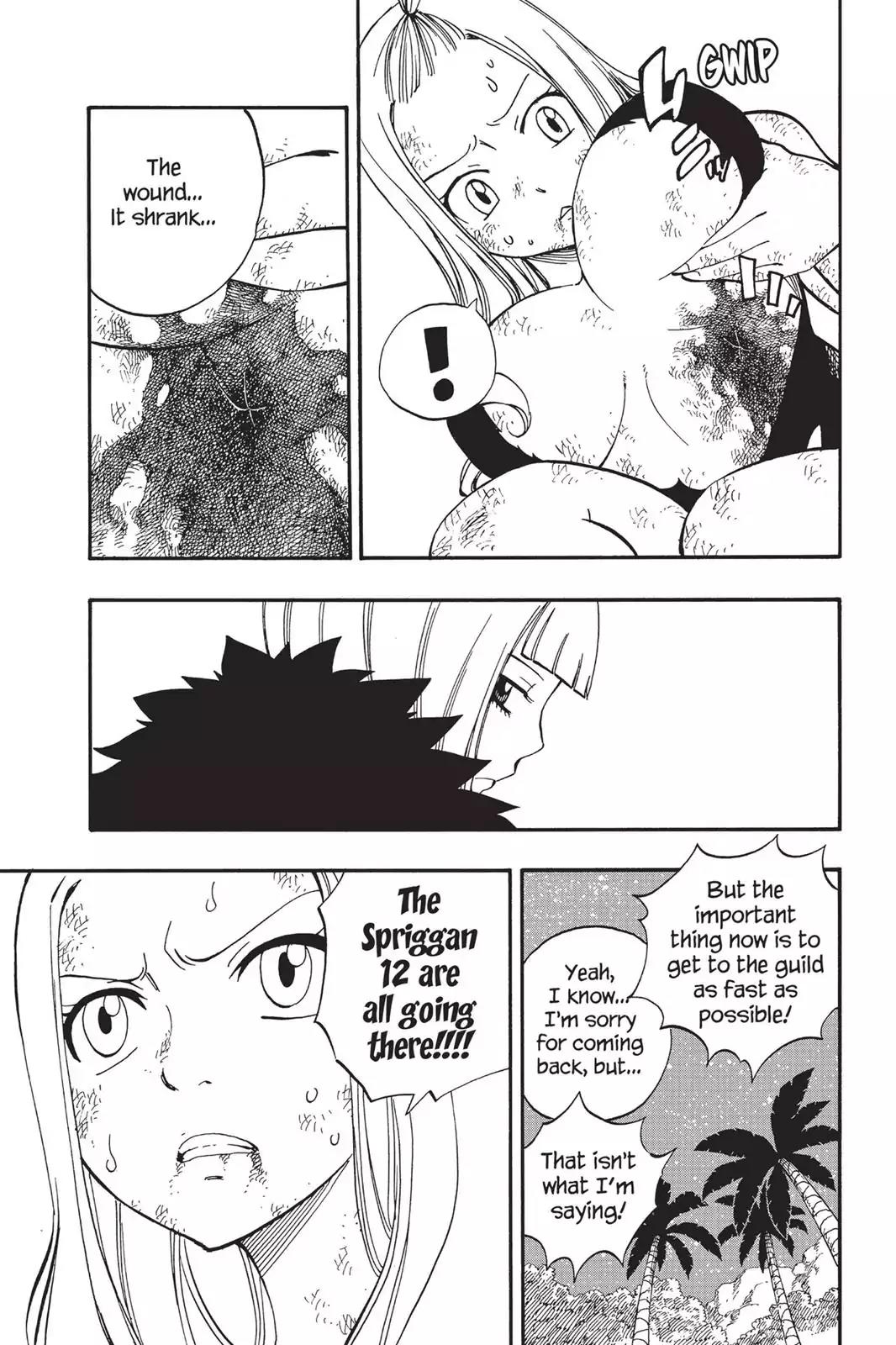 Fairy Tail Chapter 493 - Page 17