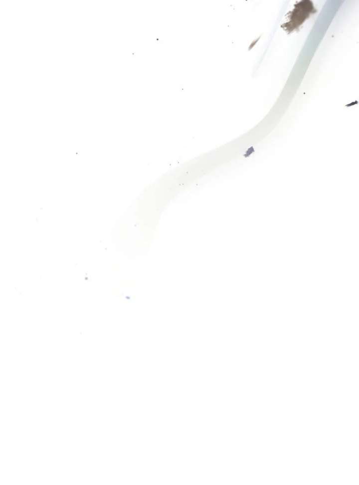 Father, I Won’t Do Anything Chapter 45 - Page 41