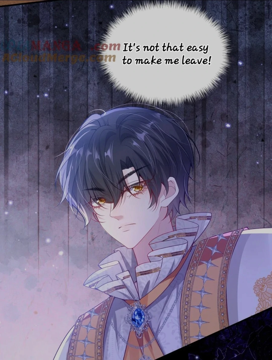 Forcibly Occupy His Highness the Prince Chapter 3 - Page 13