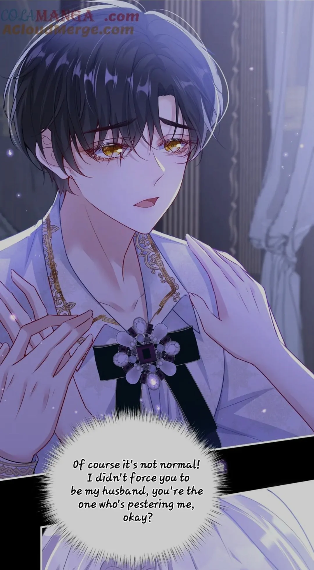 Forcibly Occupy His Highness the Prince Chapter 6 - Page 4