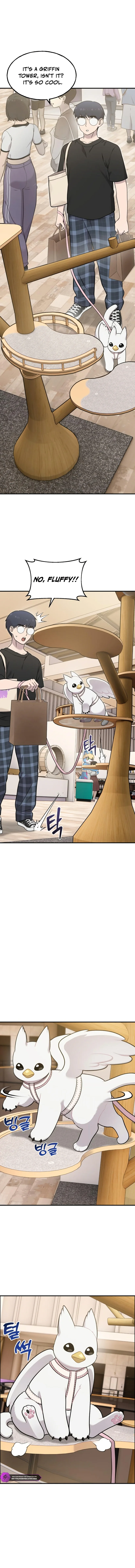 Hello, Griffin the Fluffy Bird! Chapter 18 - Page 7