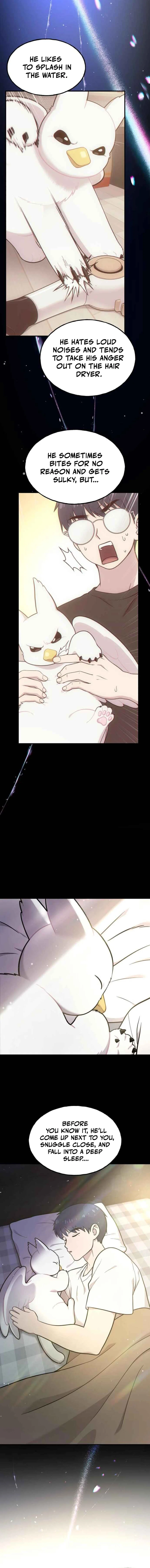 Hello, Griffin the Fluffy Bird! Chapter 21 - Page 3