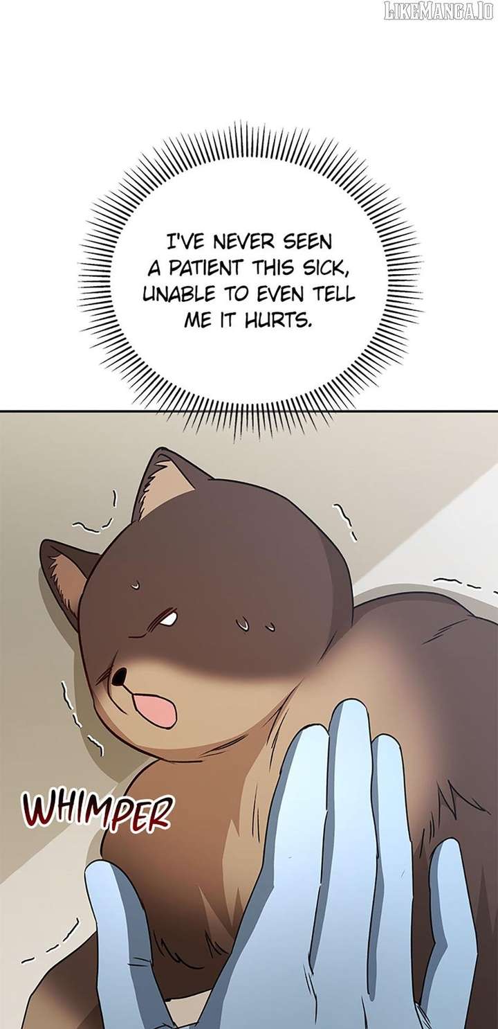 Hello! Veterinarian! Chapter 89 - Page 12