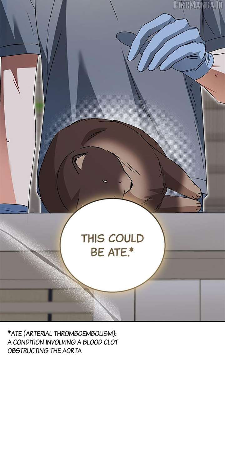 Hello! Veterinarian! Chapter 89 - Page 18