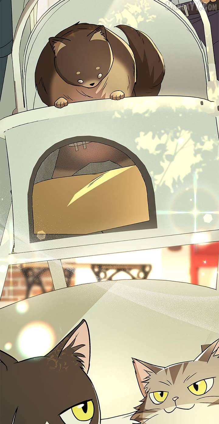 Hello! Veterinarian! Chapter 90 - Page 77