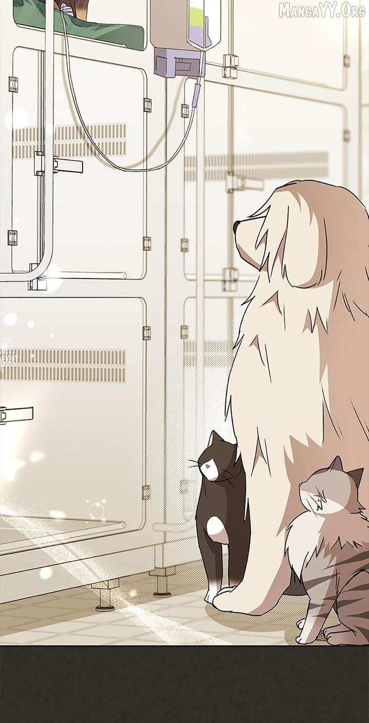 Hello! Veterinarian! Chapter 91 - Page 11