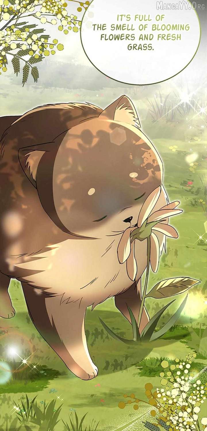 Hello! Veterinarian! Chapter 91 - Page 13