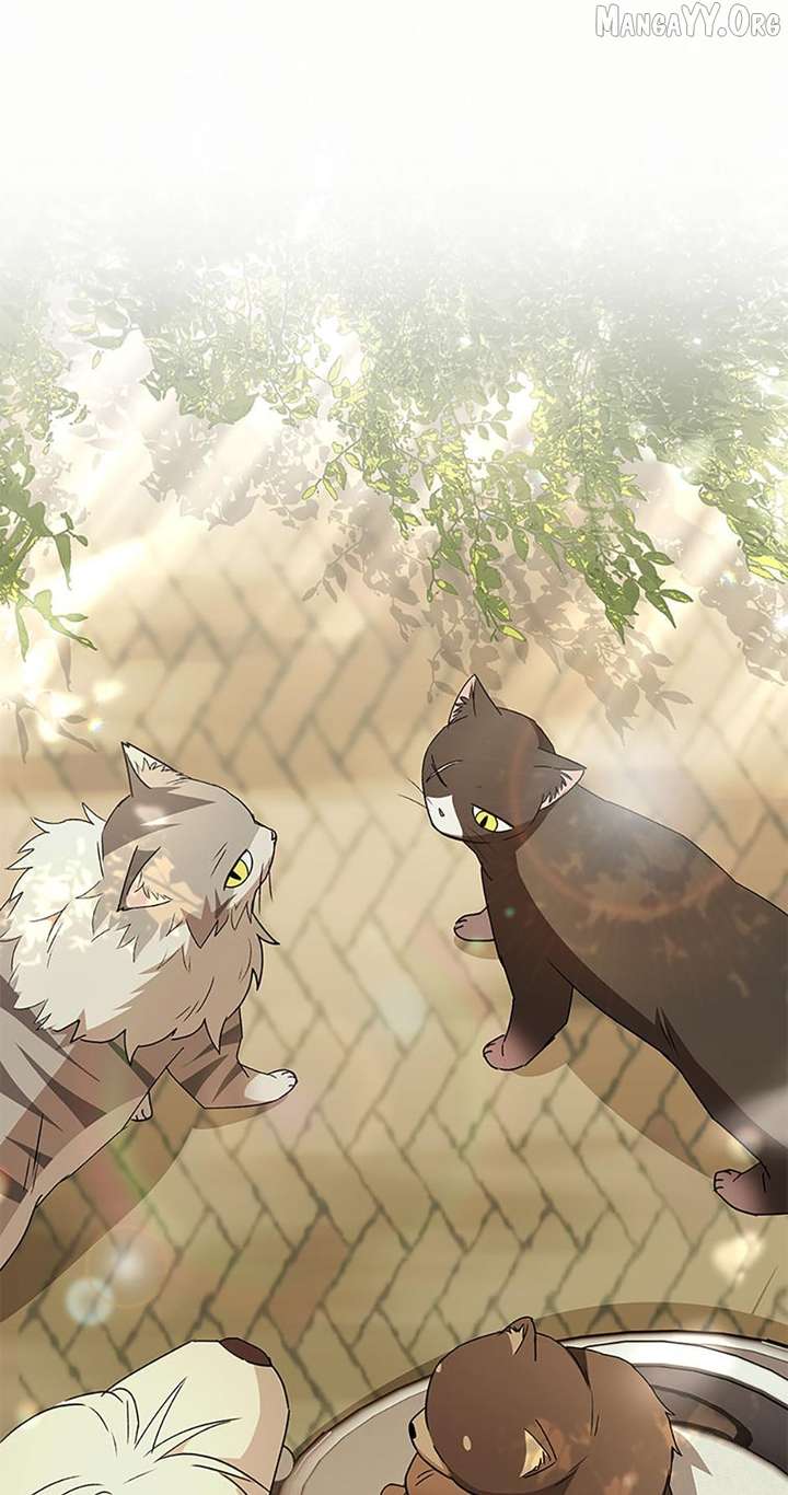 Hello! Veterinarian! Chapter 91 - Page 25