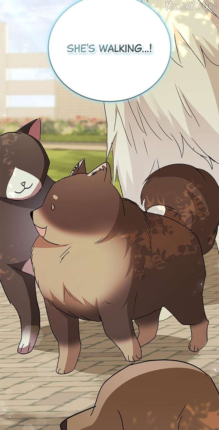 Hello! Veterinarian! Chapter 91 - Page 41