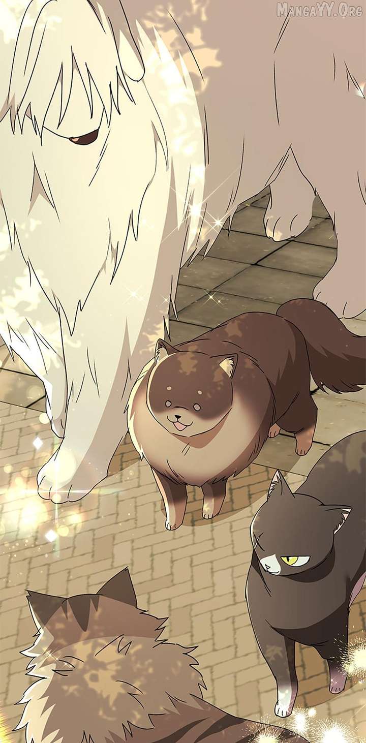 Hello! Veterinarian! Chapter 91 - Page 47