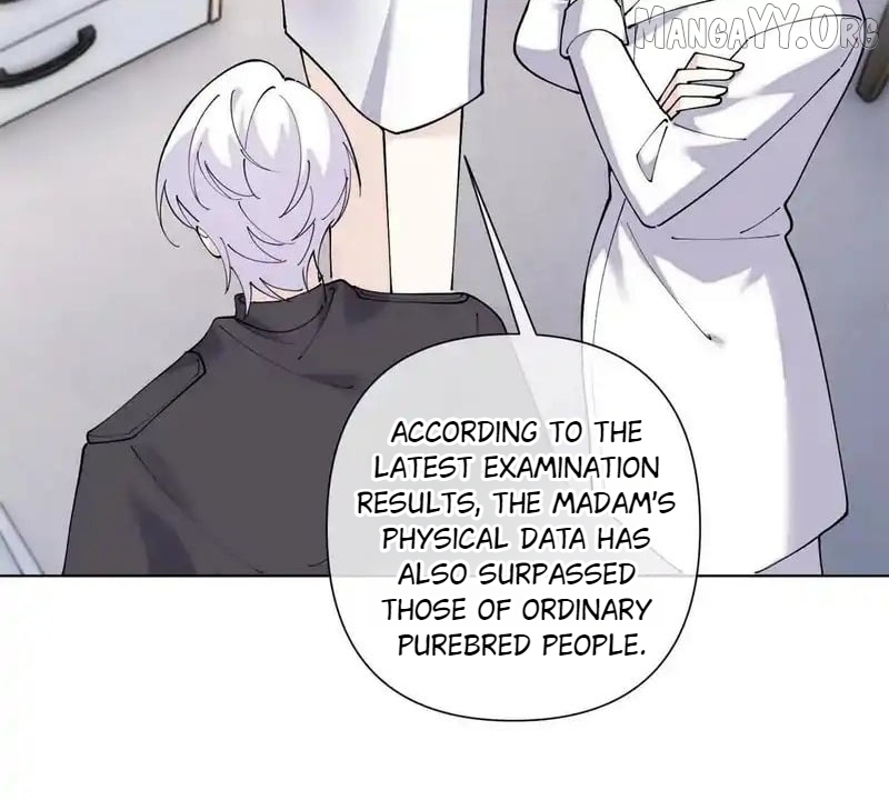 Her Marriage Was Called Off at Daytime, the Cutely Fierce Commander Asked Her For a Hug at Night Chapter 141 - Page 61