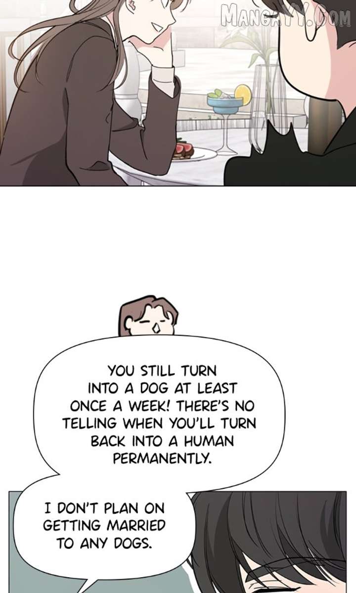 How to Hold X’s Leash Chapter 77 - Page 14