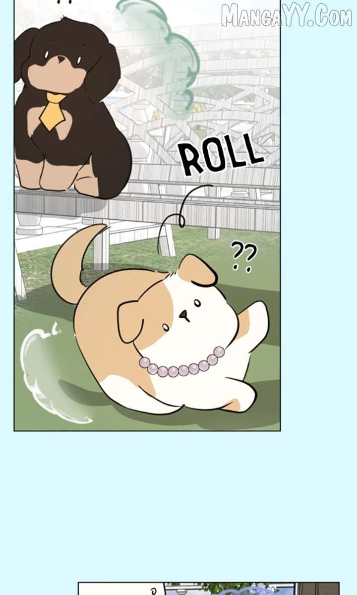 How to Hold X’s Leash Chapter 77 - Page 68