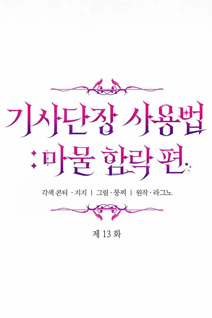 How to Use the Knight Commander: Monster Capture Chapter 13 - Page 32