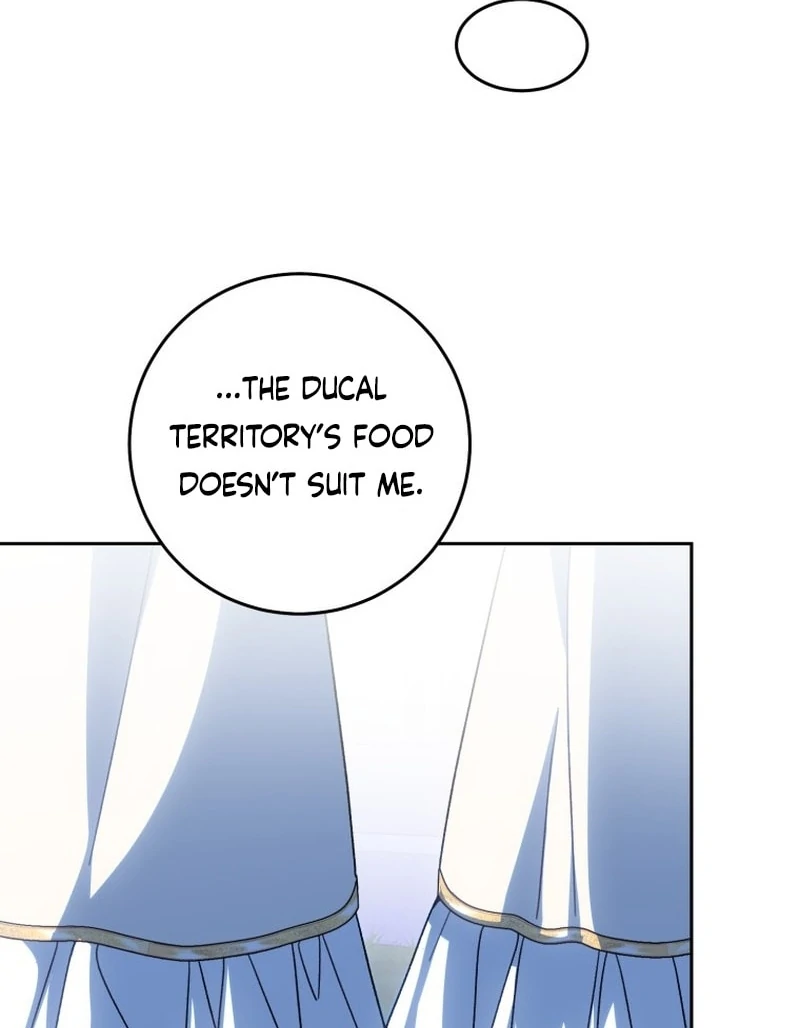 I Am the Evil Wife of a Young Husband Chapter 25 - Page 17