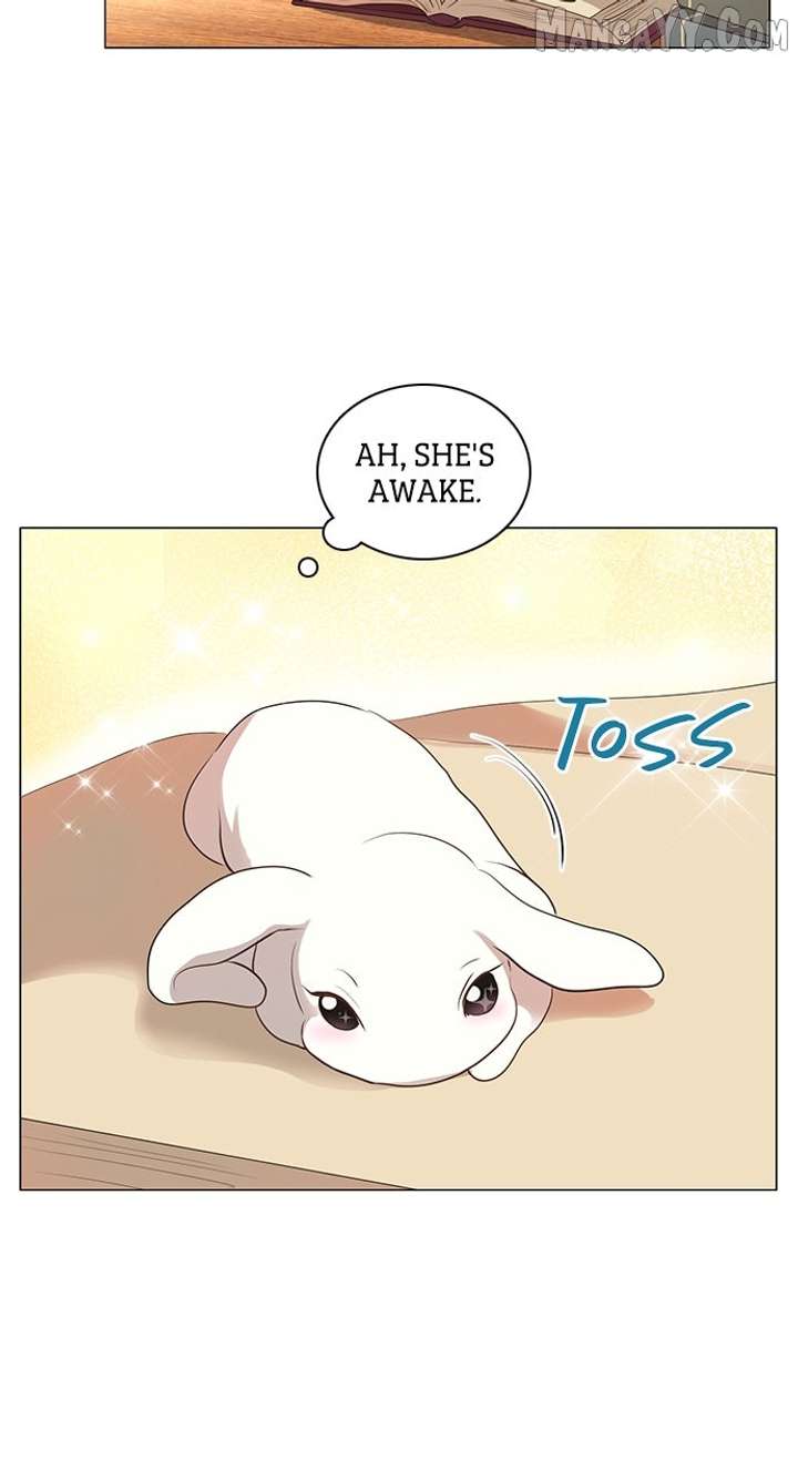 I Became the Rabbit Heroine’s Stepmother Chapter 68 - Page 37