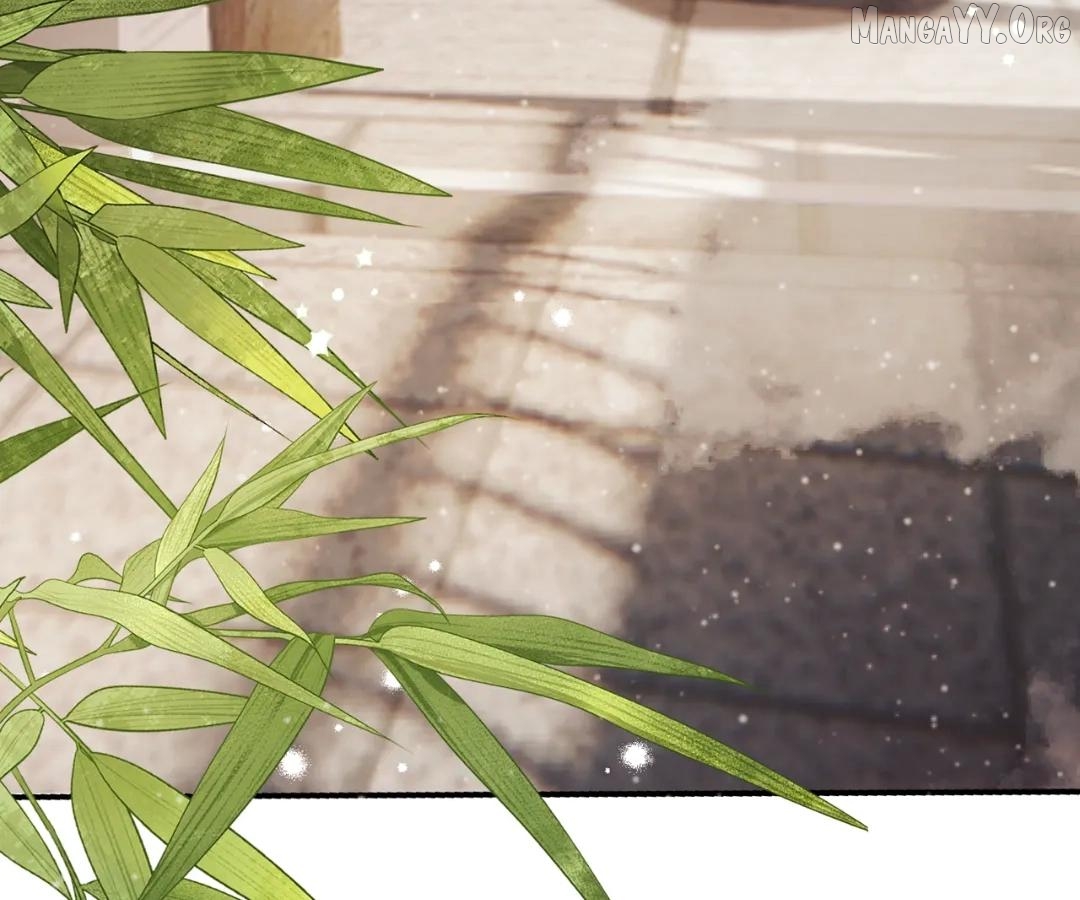 I Brought a Supermarket to Ancient Times to Raise a Prime Minister Chapter 39 - Page 6